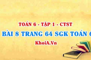 Bài 8 trang 64 SGK Toán 6 Chân trời sáng tạo Tập 1